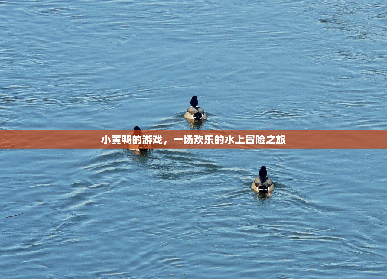 小黄鸭的游戏，一场欢乐的水上冒险之旅