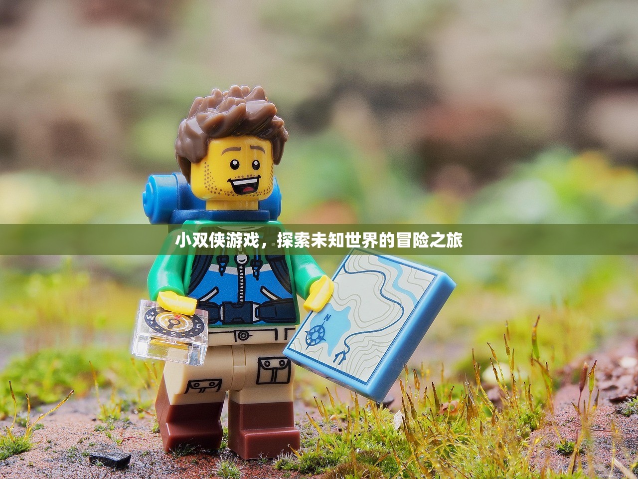 小双侠游戏，探索未知世界的冒险之旅