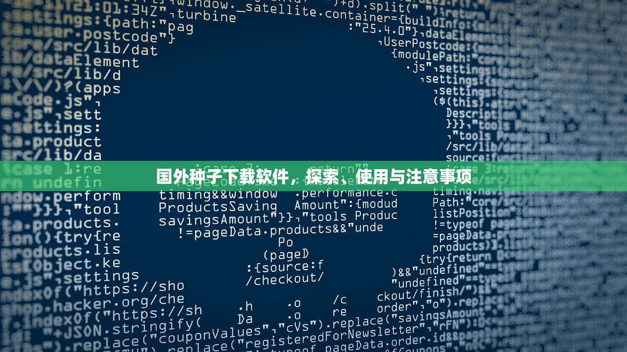 国外种子下载软件，探索、使用与注意事项