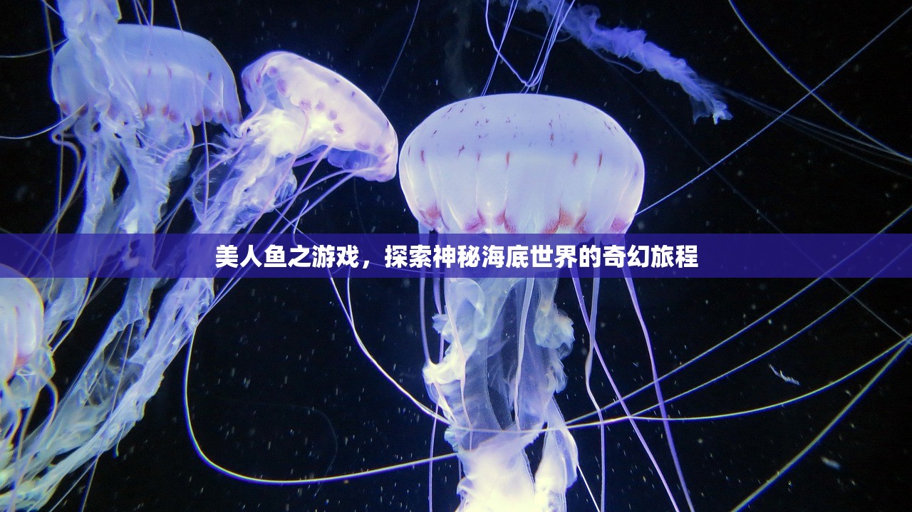 美人鱼之游戏，探索神秘海底世界的奇幻旅程