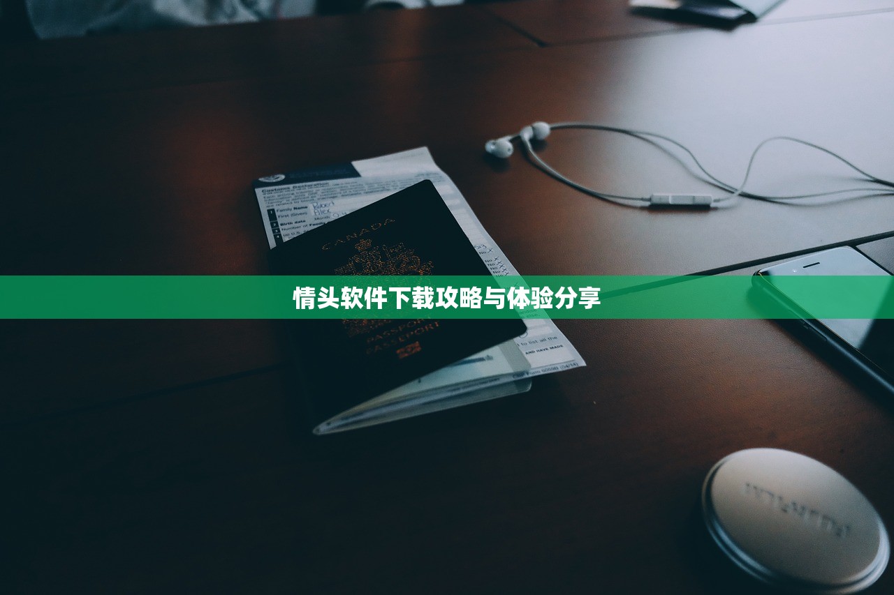 情头软件下载攻略与体验分享