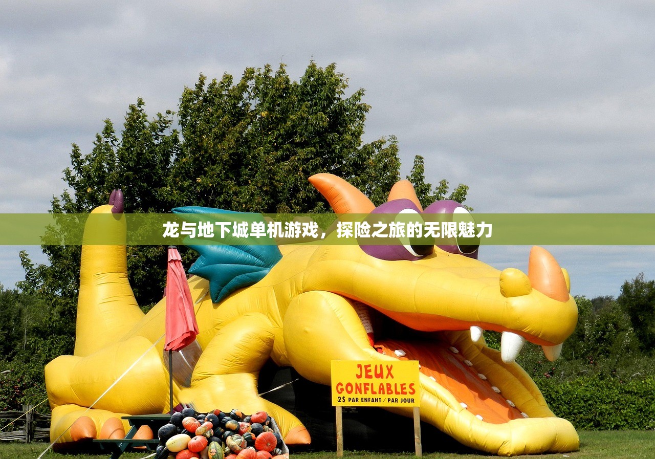 龙与地下城单机游戏，探险之旅的无限魅力