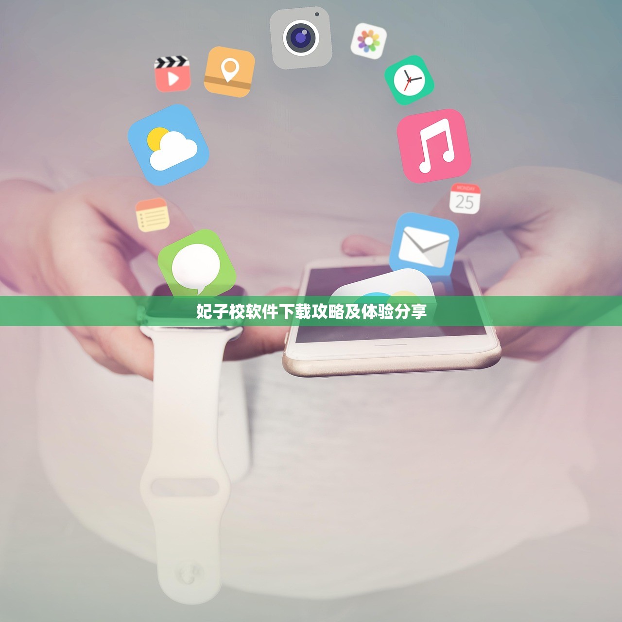 妃子校软件下载攻略及体验分享