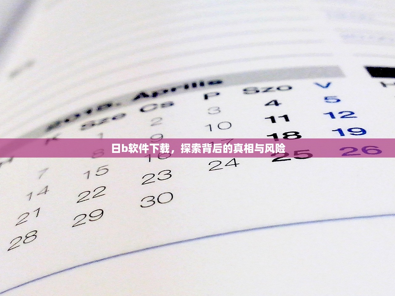 日b软件下载，探索背后的真相与风险