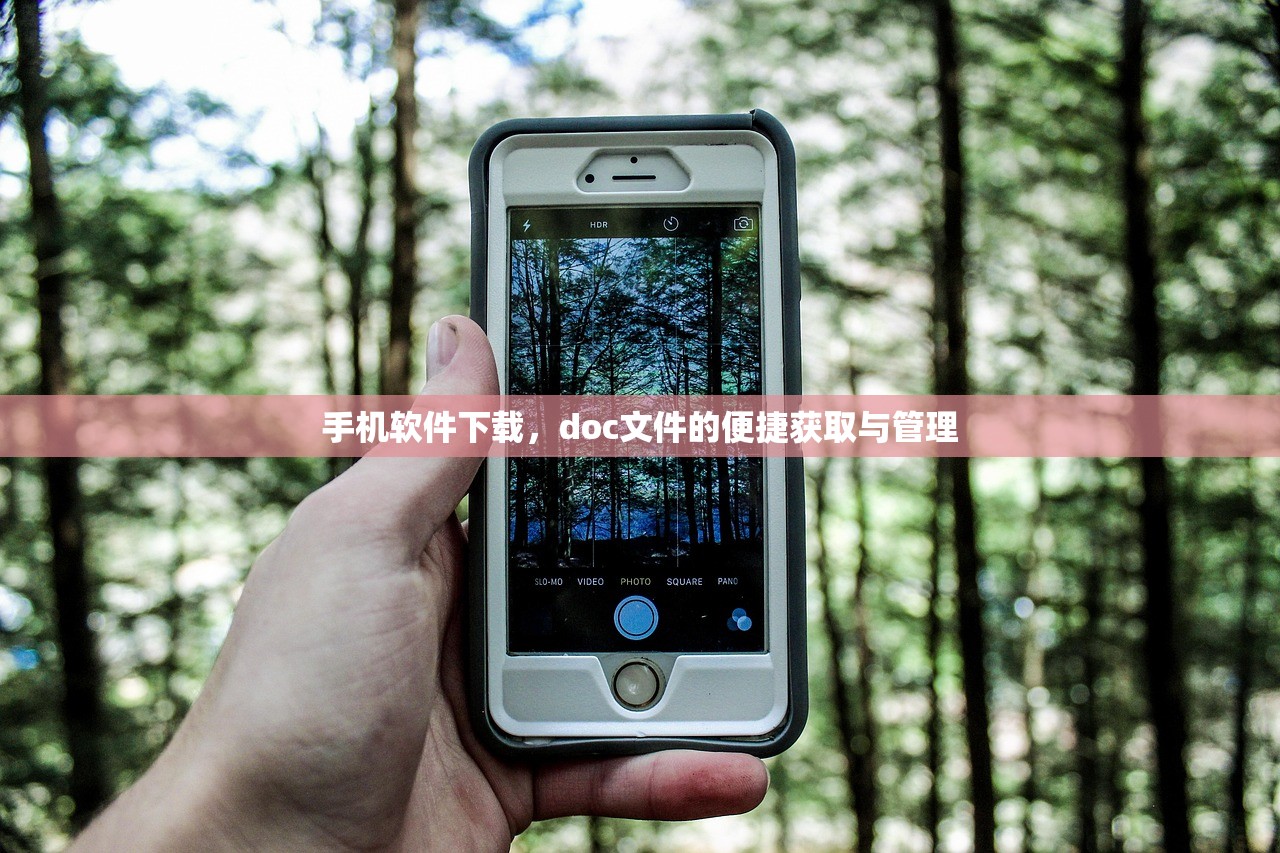 手机软件下载，doc文件的便捷获取与管理