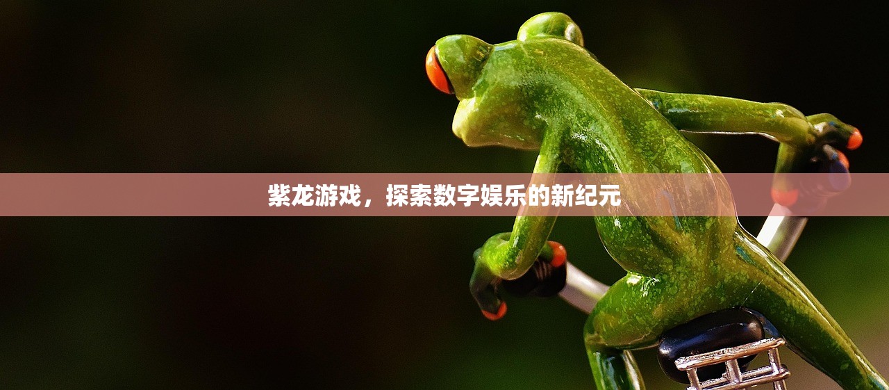 紫龙游戏，探索数字娱乐的新纪元
