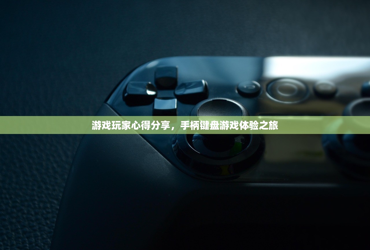 游戏玩家心得分享，手柄键盘游戏体验之旅