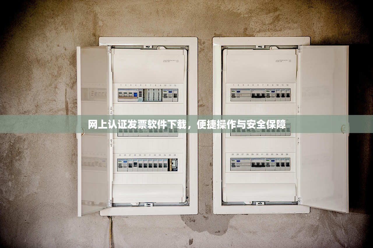 网上认证发票软件下载，便捷操作与安全保障