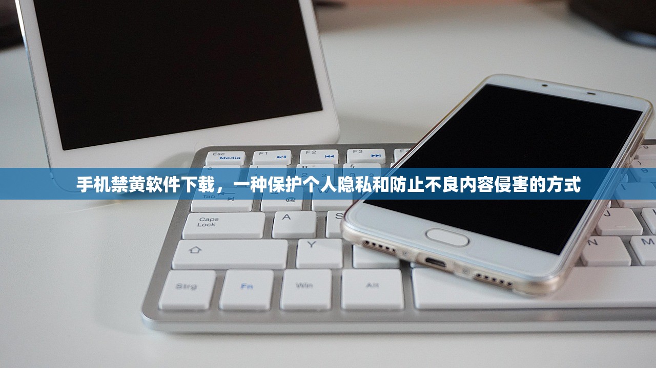 手机禁黄软件下载，一种保护个人隐私和防止不良内容侵害的方式