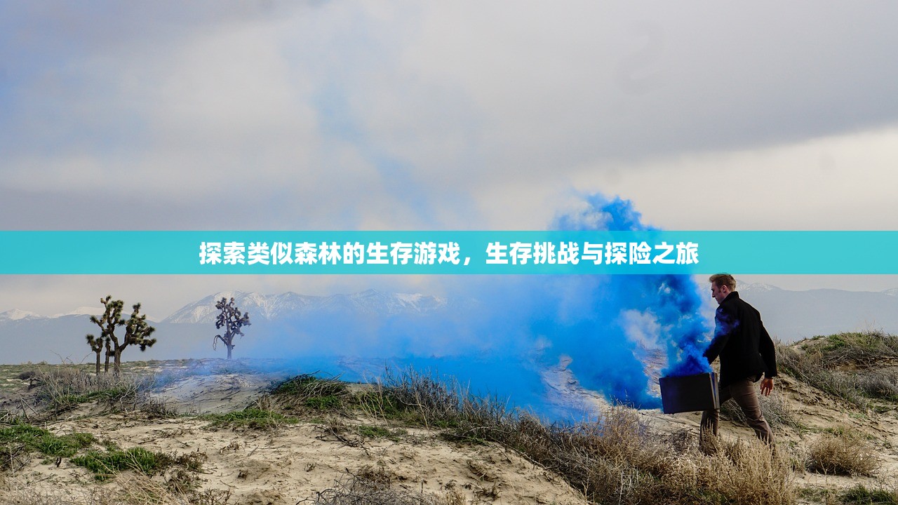 探索类似森林的生存游戏，生存挑战与探险之旅