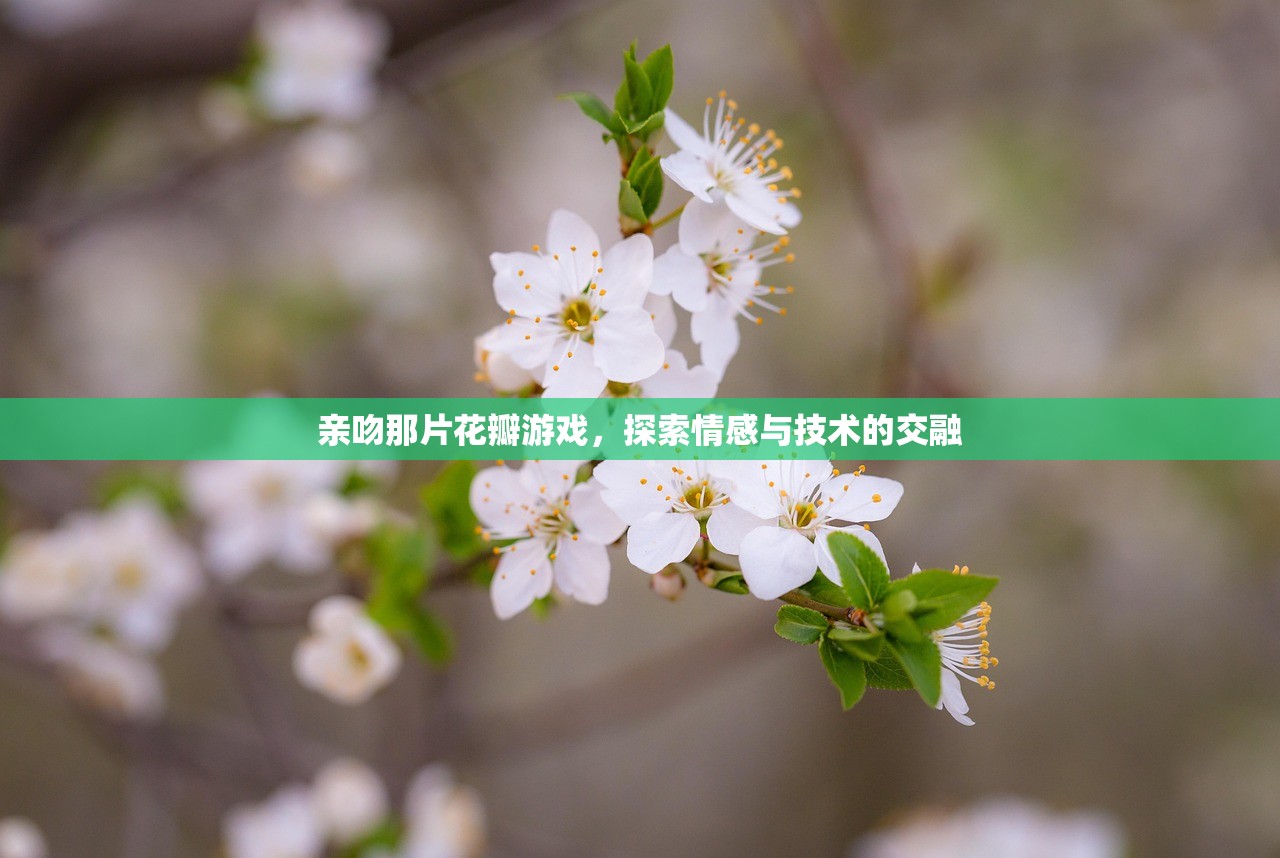 亲吻那片花瓣游戏，探索情感与技术的交融