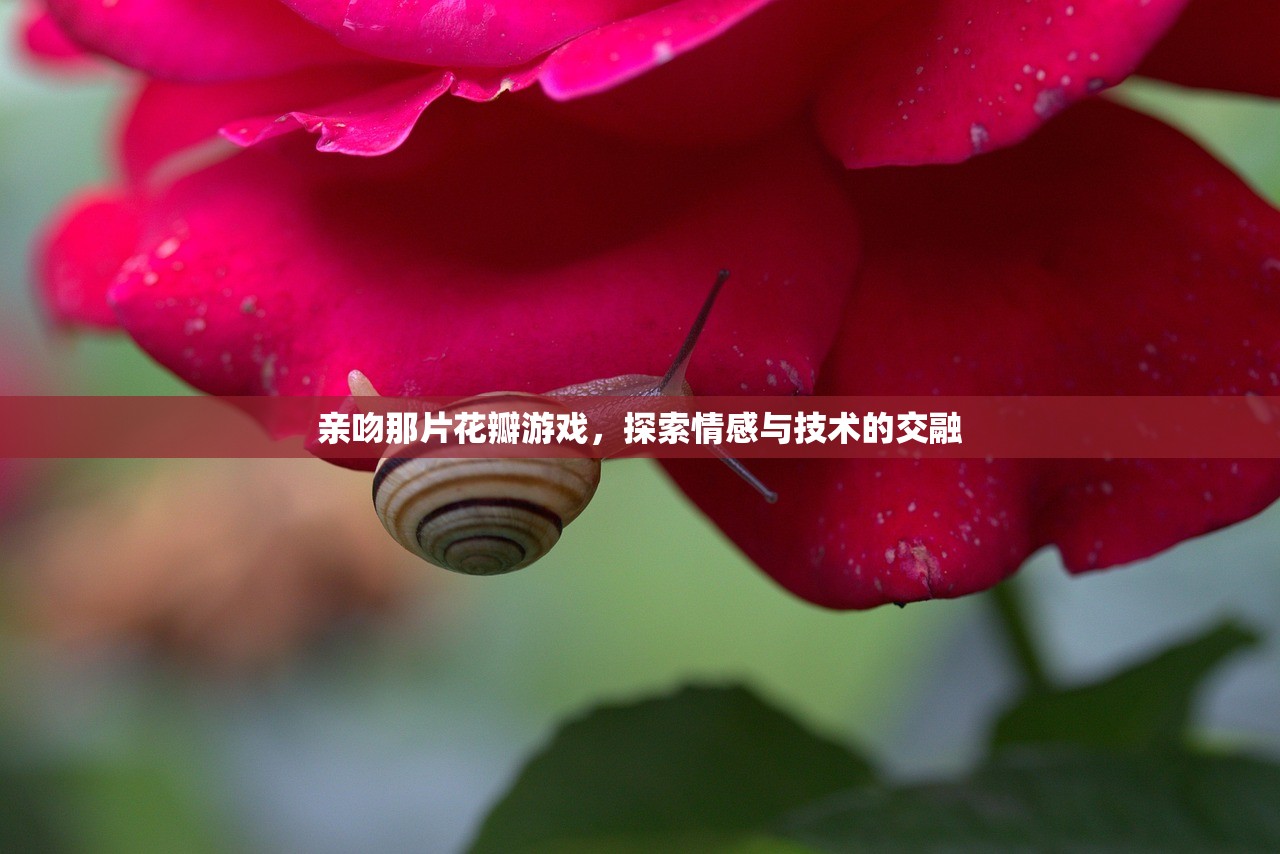 亲吻那片花瓣游戏，探索情感与技术的交融