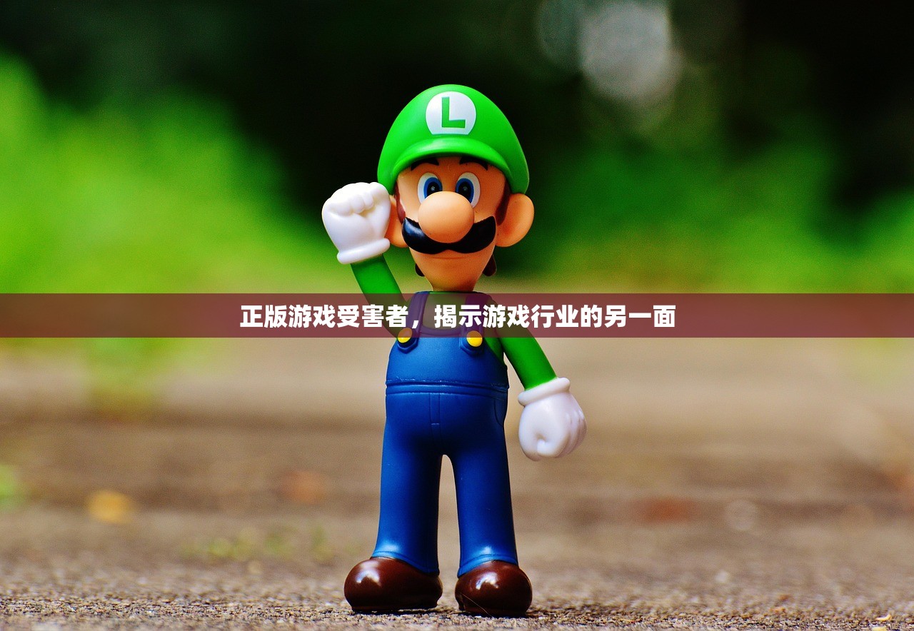 正版游戏受害者，揭示游戏行业的另一面