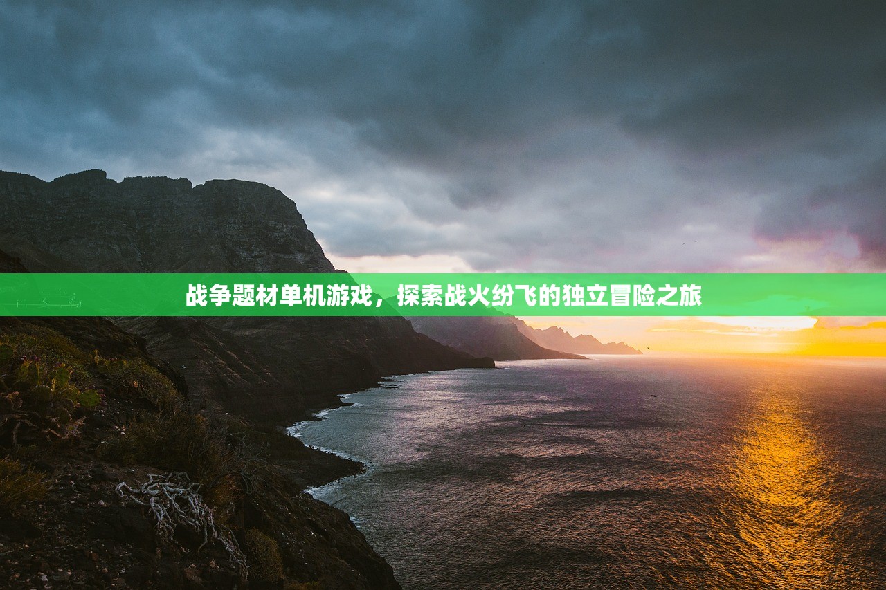 战争题材单机游戏，探索战火纷飞的独立冒险之旅