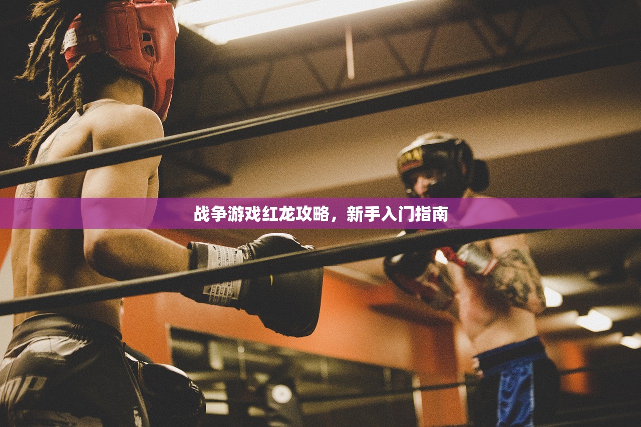 战争游戏红龙攻略，新手入门指南