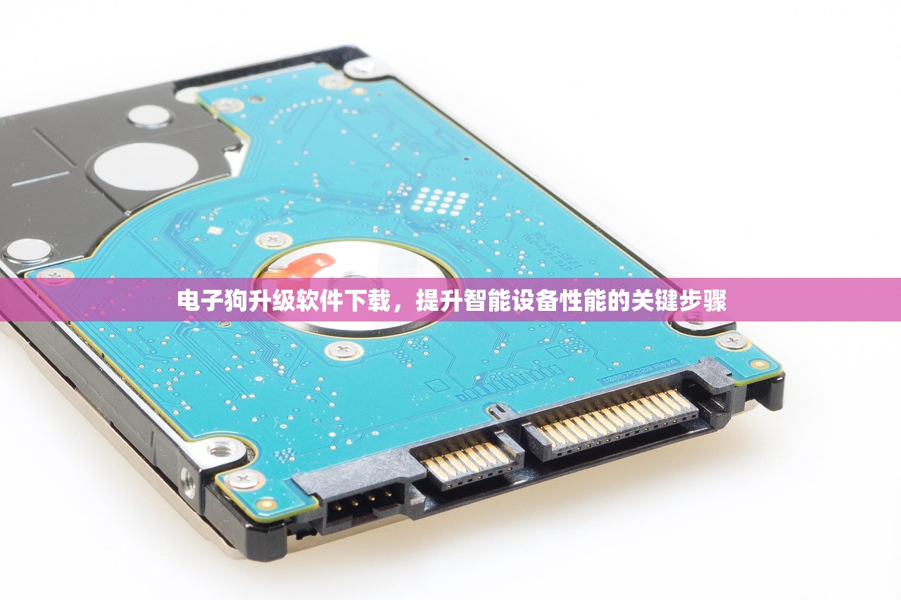 电子狗升级软件下载，提升智能设备性能的关键步骤
