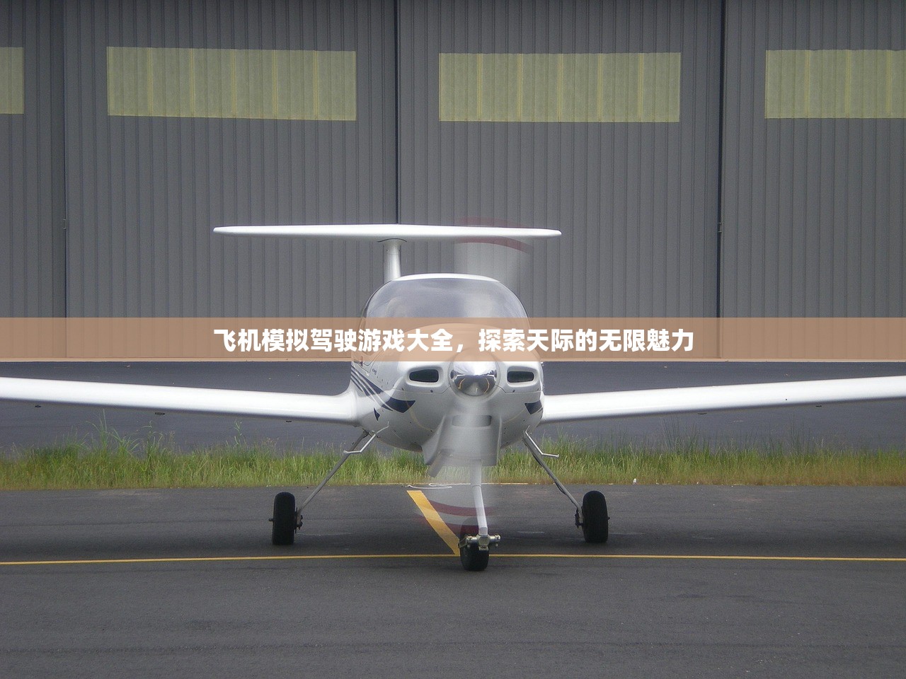 飞机模拟驾驶游戏大全，探索天际的无限魅力