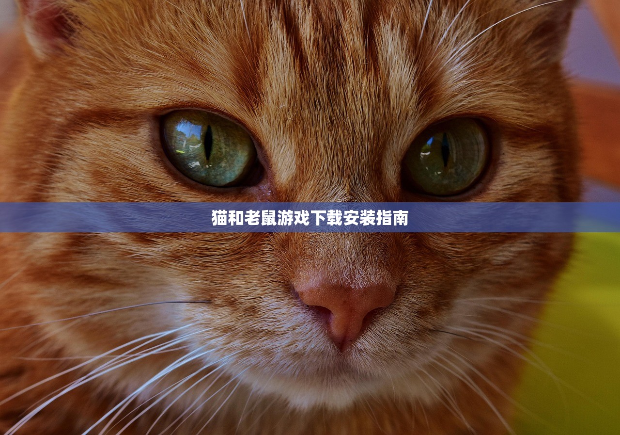 猫和老鼠游戏下载安装指南