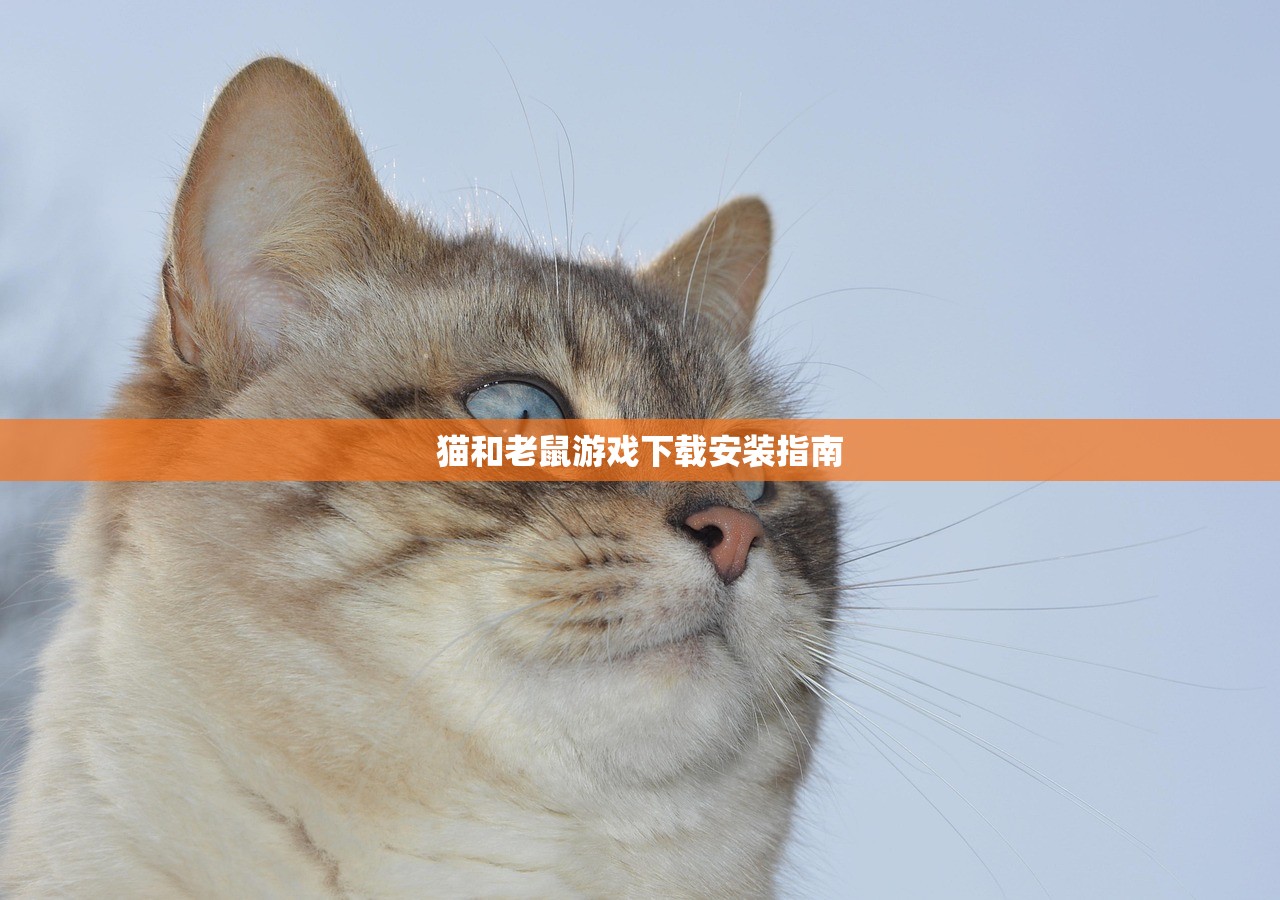 猫和老鼠游戏下载安装指南