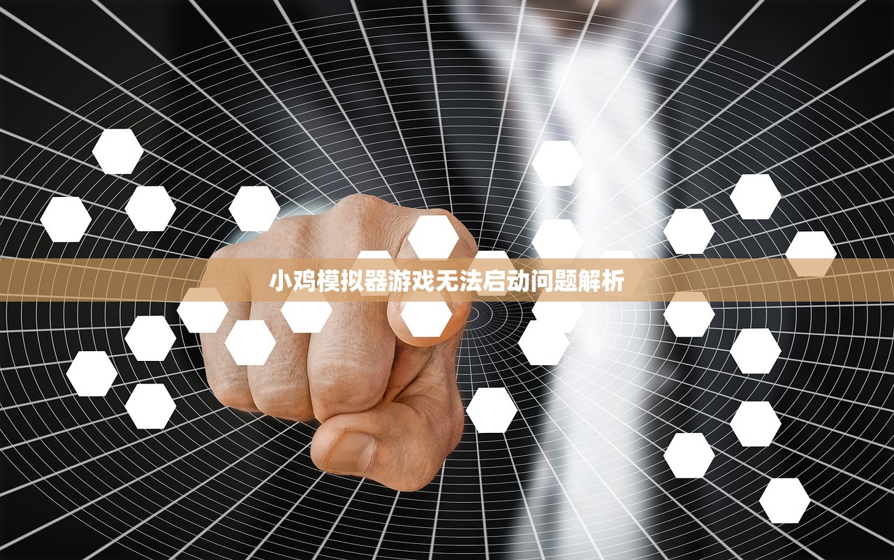小鸡模拟器游戏无法启动问题解析