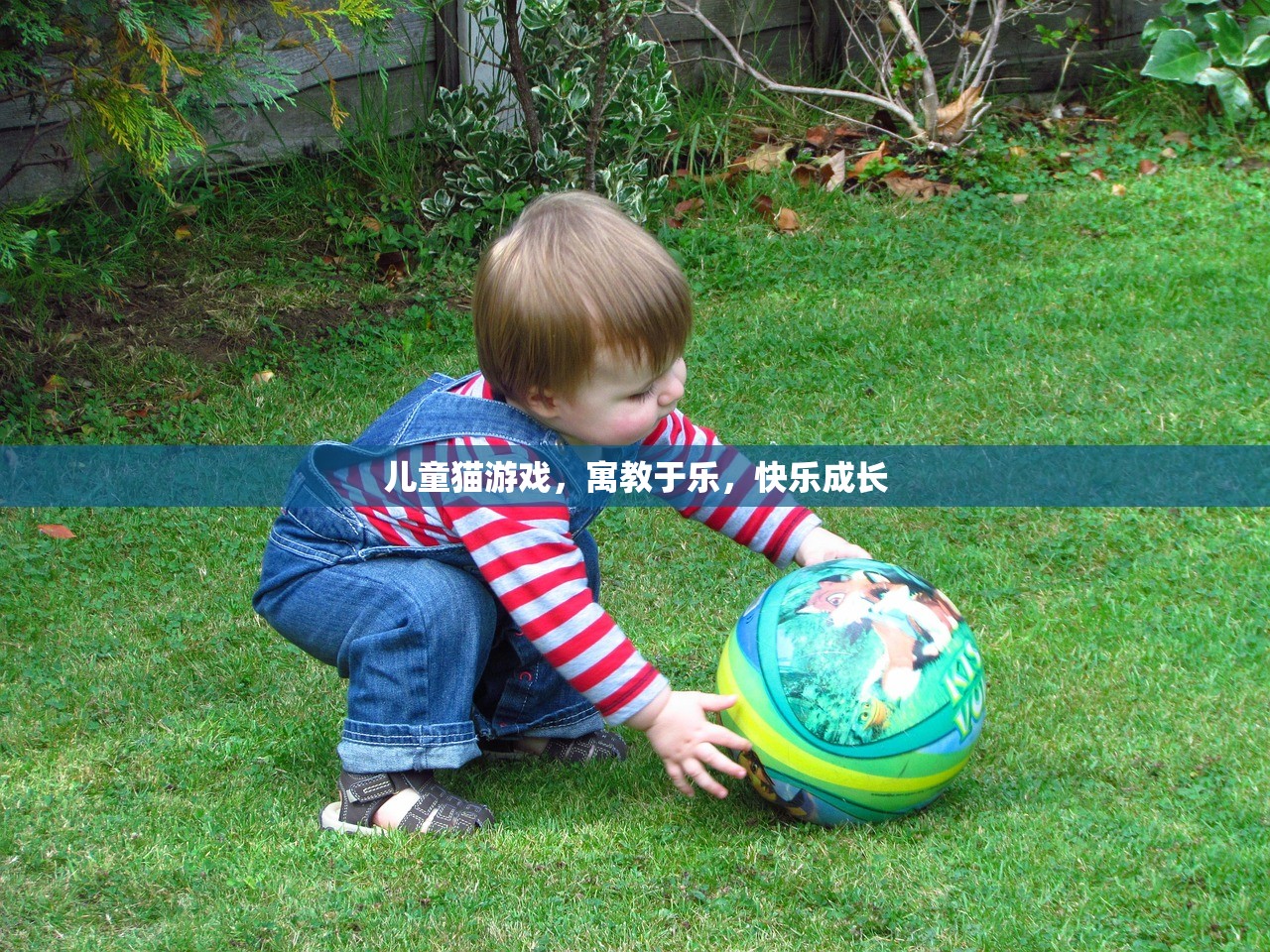 儿童猫游戏，寓教于乐，快乐成长