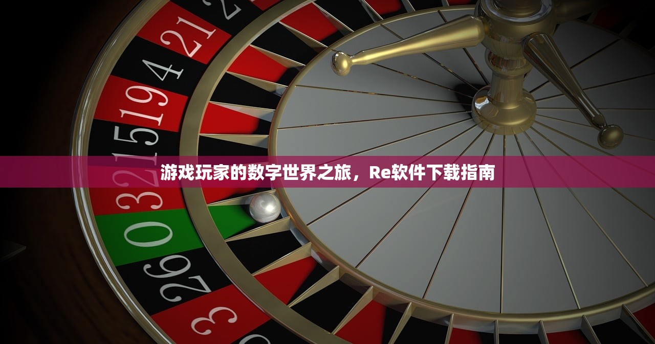 游戏玩家的数字世界之旅，Re软件下载指南