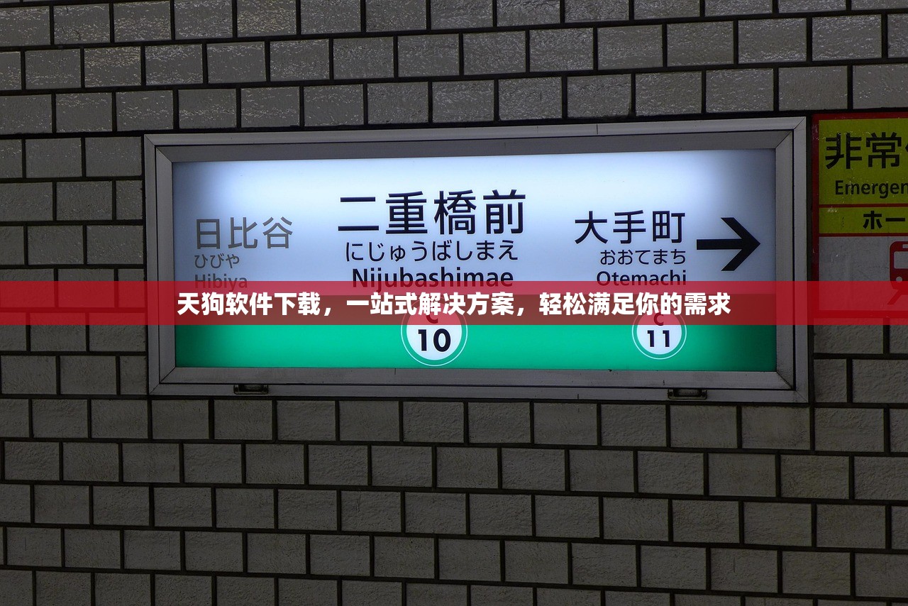天狗软件下载，一站式解决方案，轻松满足你的需求