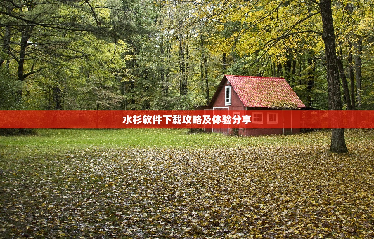 水杉软件下载攻略及体验分享