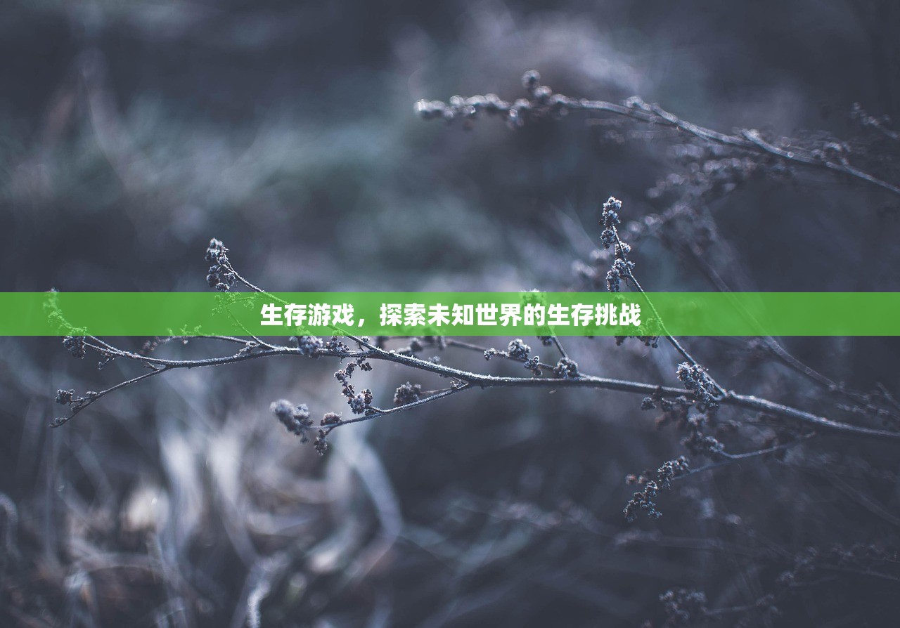 生存游戏，探索未知世界的生存挑战
