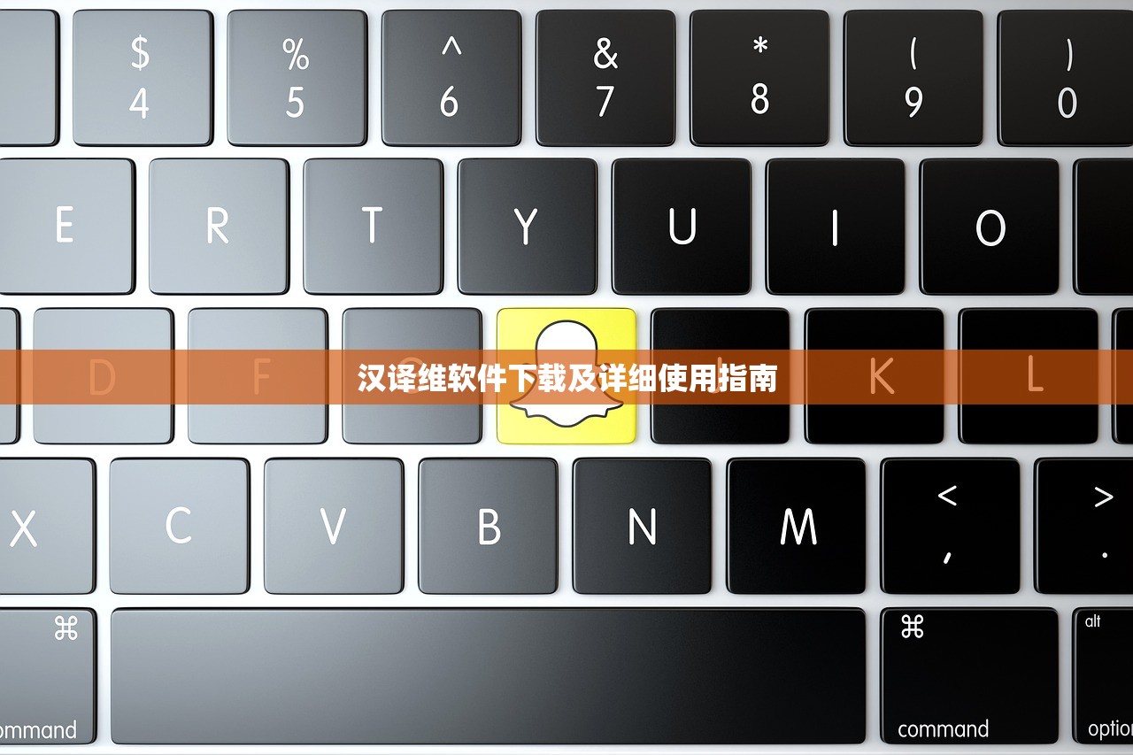汉译维软件下载及详细使用指南