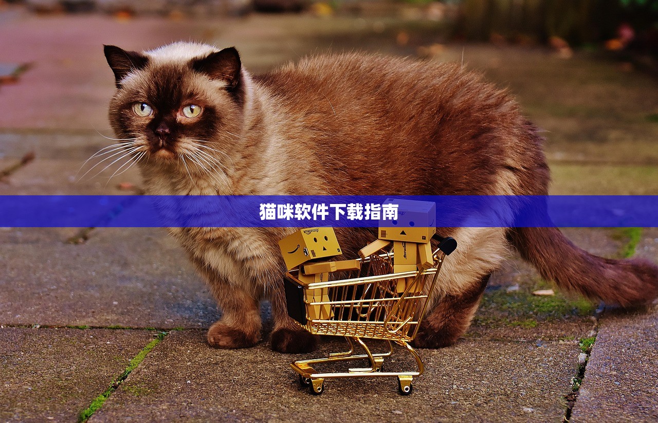 猫咪软件下载指南