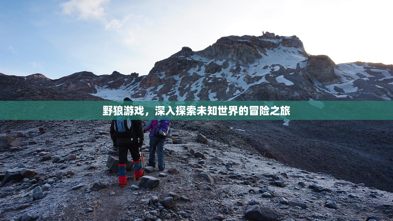 野狼游戏，深入探索未知世界的冒险之旅