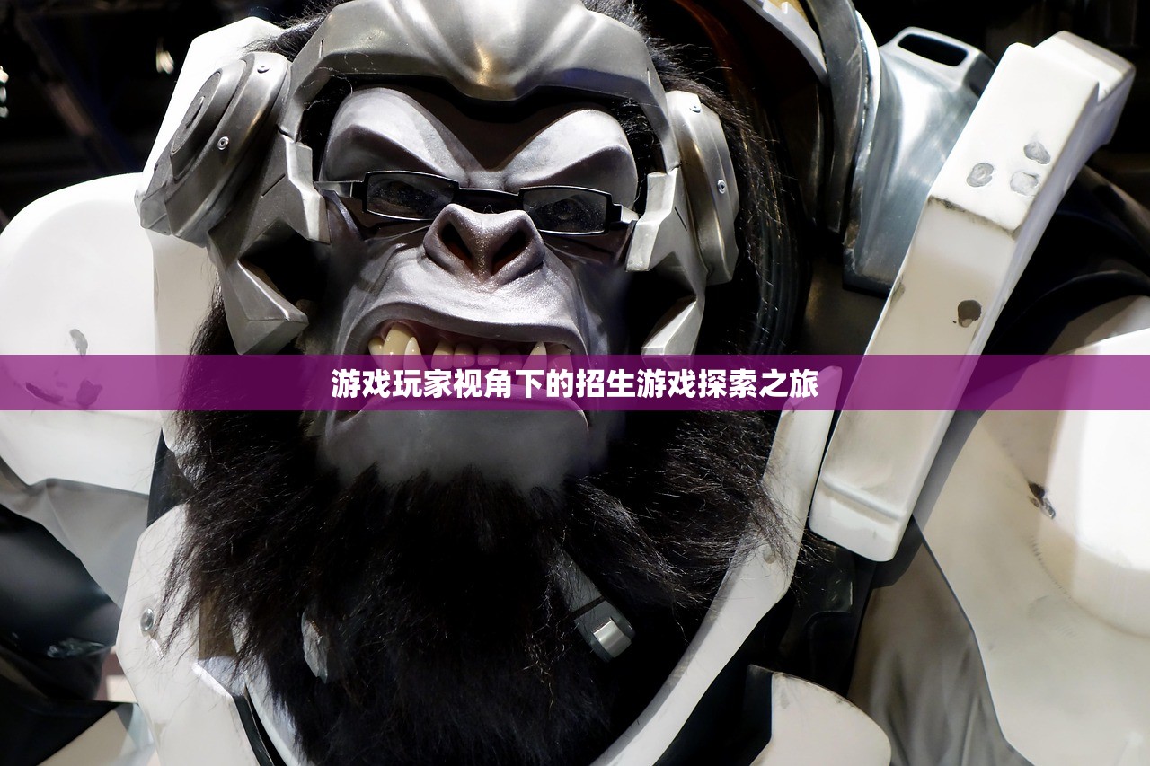 游戏玩家视角下的招生游戏探索之旅
