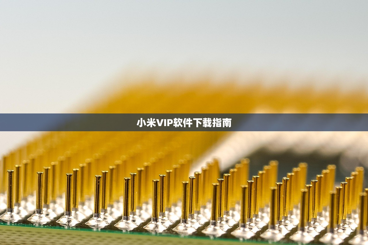 小米VIP软件下载指南