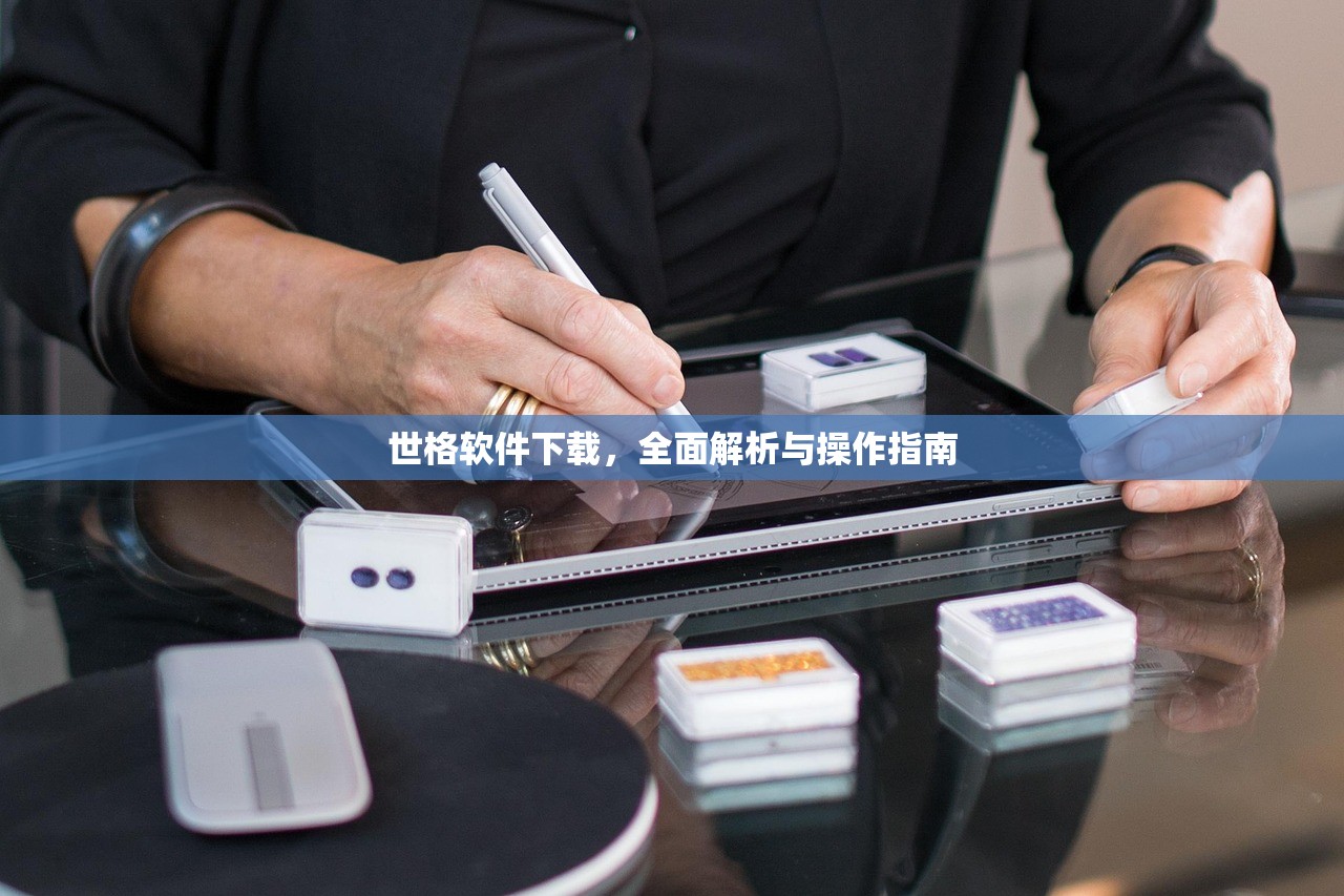 世格软件下载，全面解析与操作指南