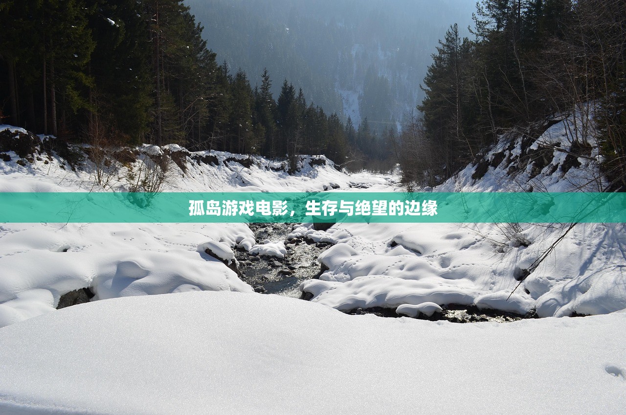 孤岛游戏电影，生存与绝望的边缘