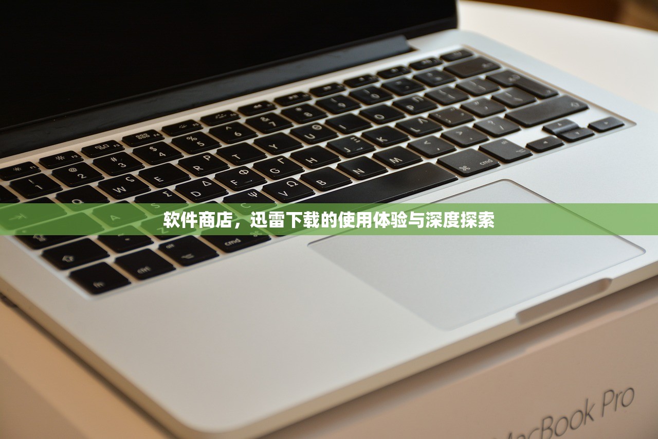 软件商店，迅雷下载的使用体验与深度探索