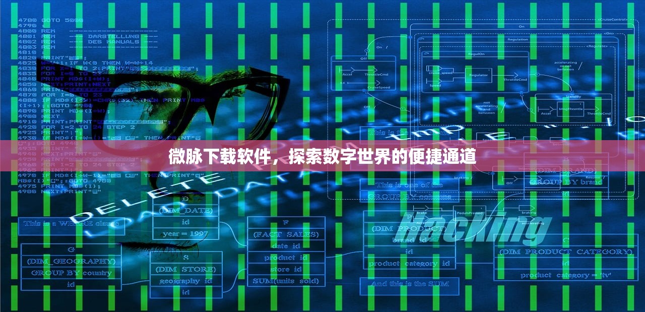 微脉下载软件，探索数字世界的便捷通道
