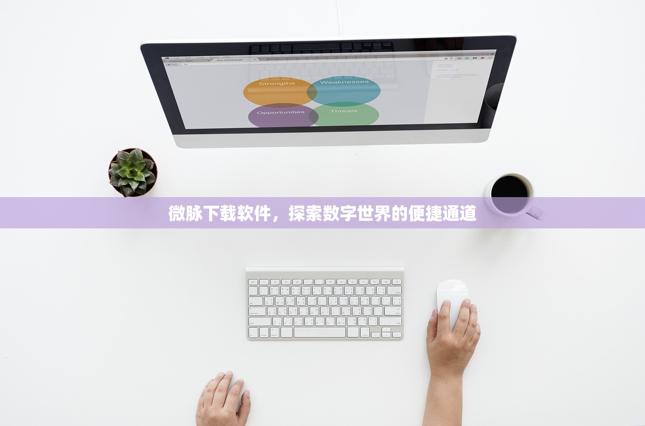 微脉下载软件，探索数字世界的便捷通道