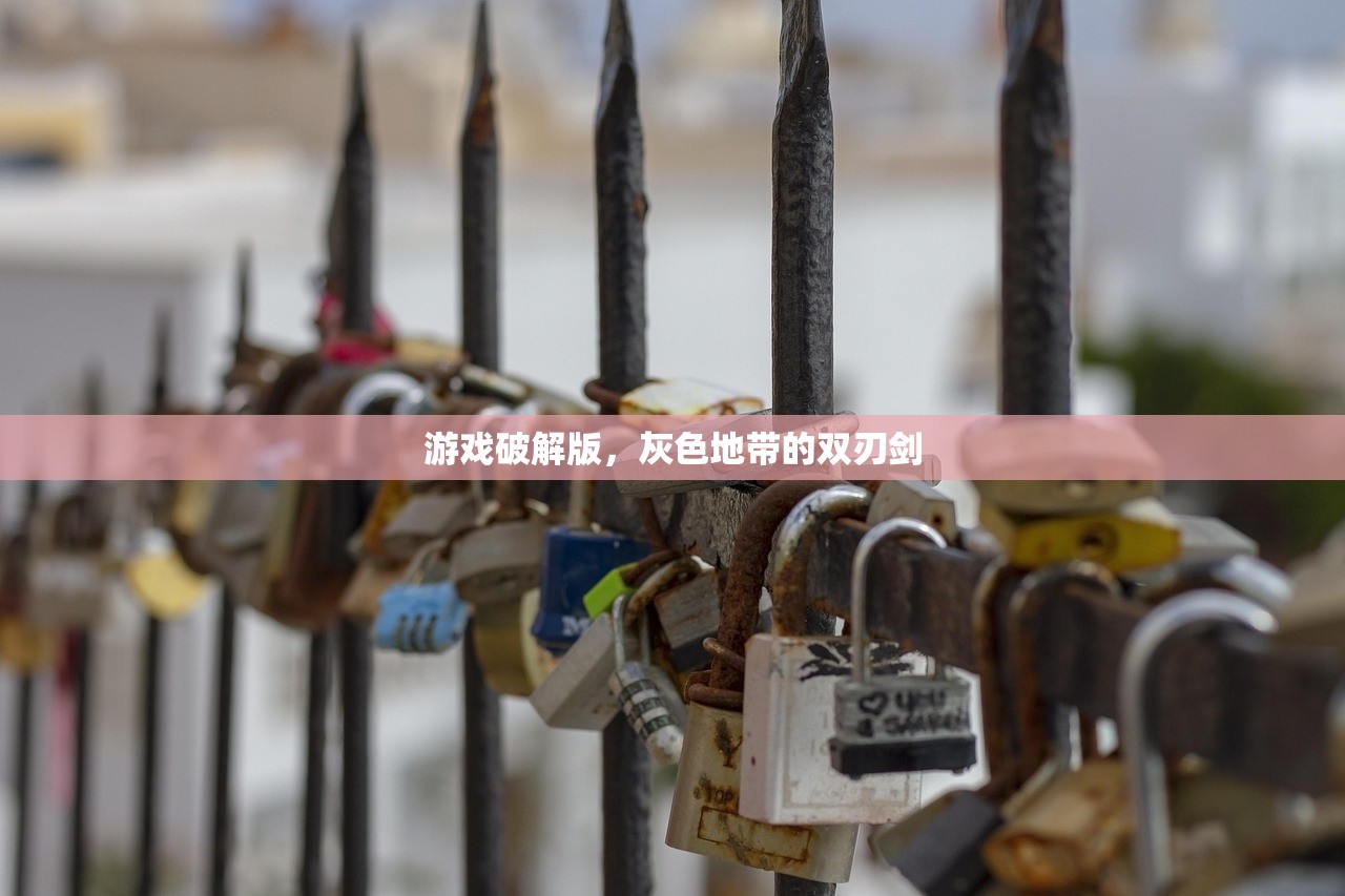 游戏破解版，灰色地带的双刃剑