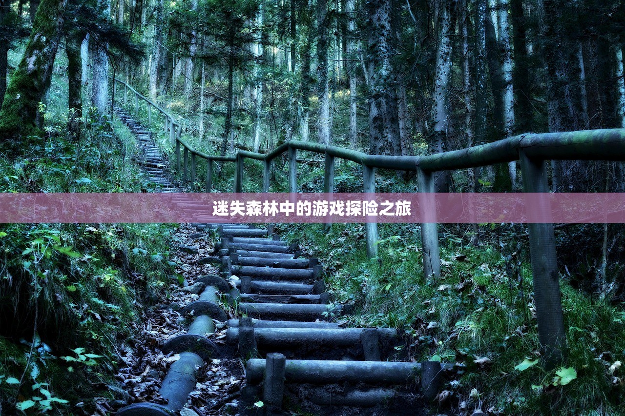 迷失森林中的游戏探险之旅