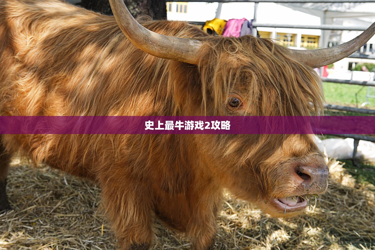 史上最牛游戏2攻略