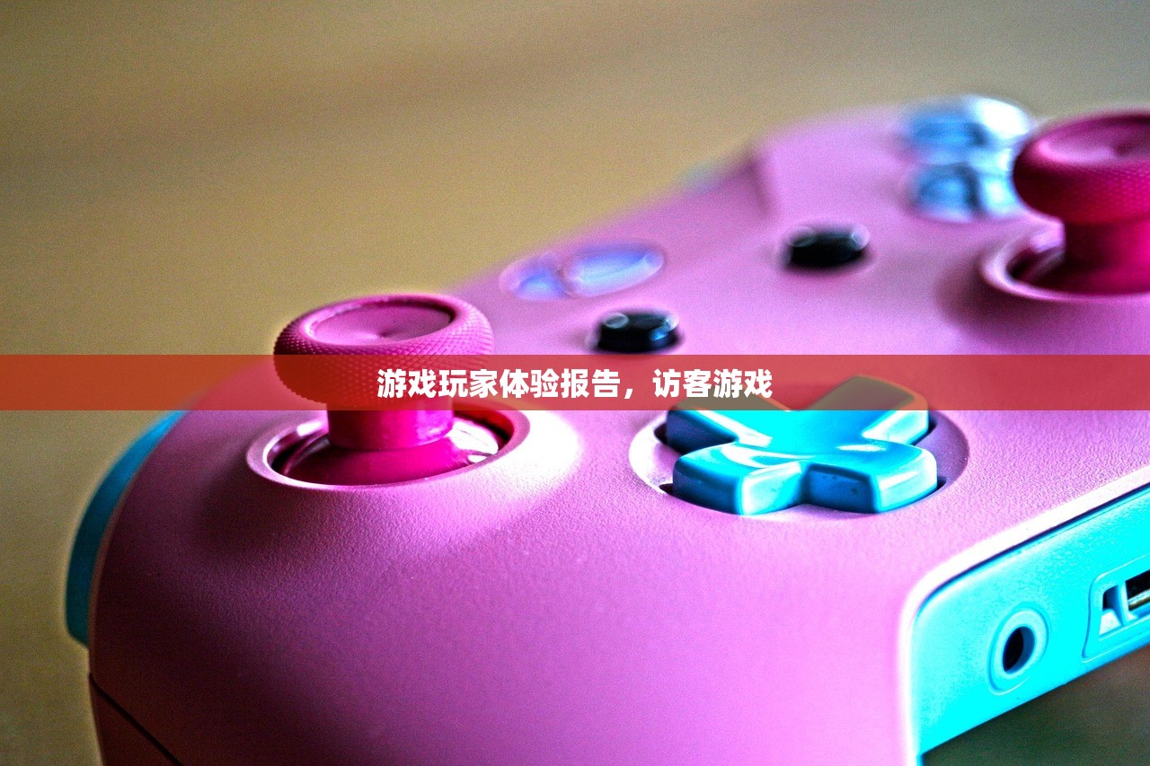 游戏玩家体验报告，访客游戏