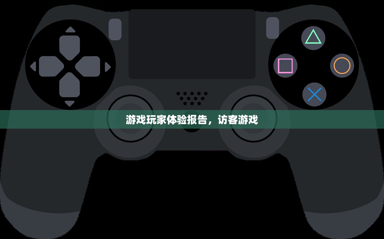 游戏玩家体验报告，访客游戏