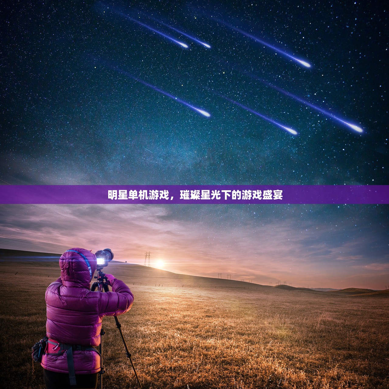 明星单机游戏，璀璨星光下的游戏盛宴