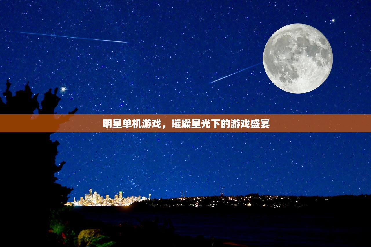 明星单机游戏，璀璨星光下的游戏盛宴
