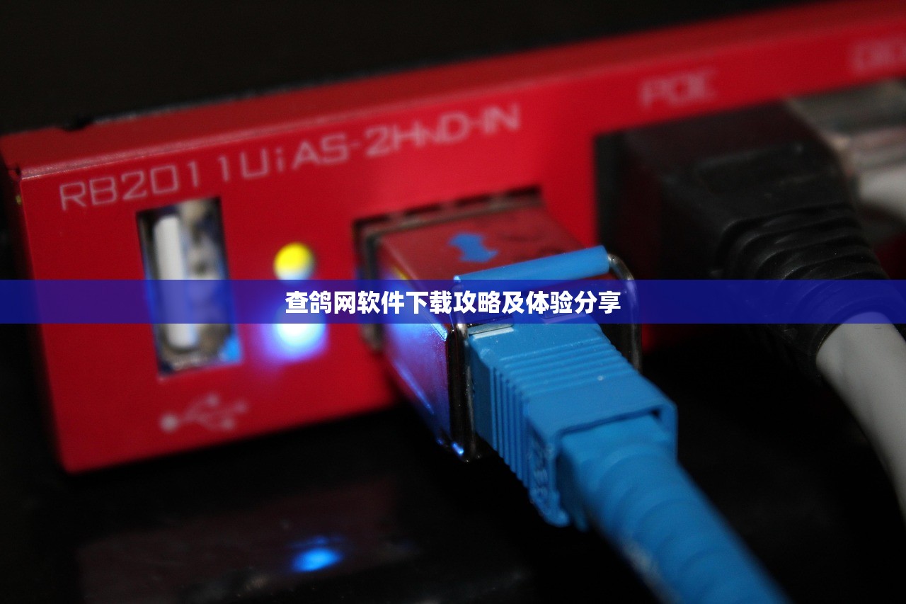 查鸽网软件下载攻略及体验分享