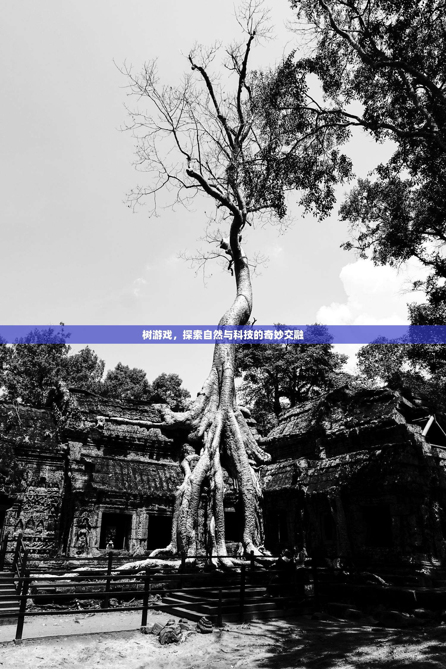树游戏，探索自然与科技的奇妙交融