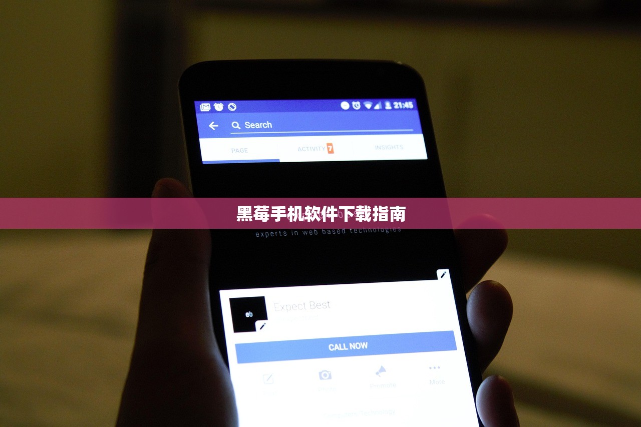 黑莓手机软件下载指南