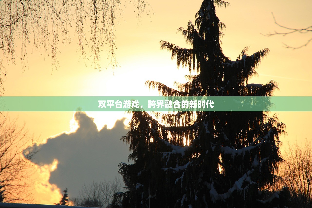 双平台游戏，跨界融合的新时代